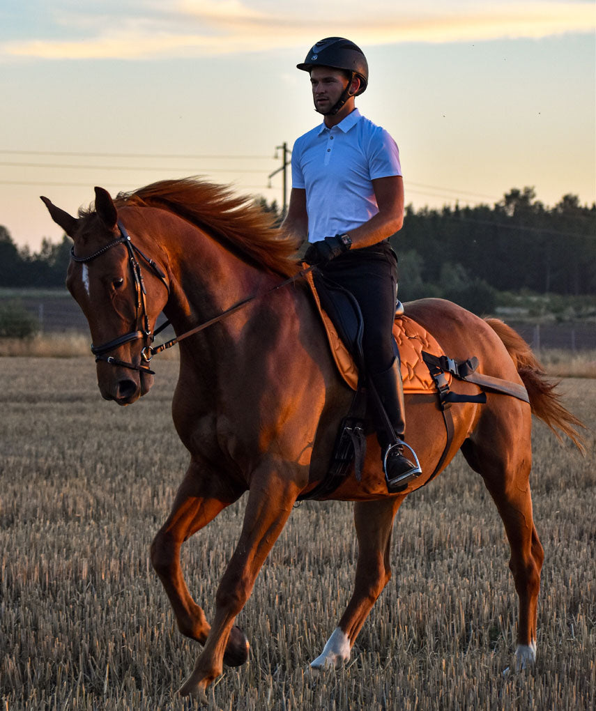 core_horse_training.jpg