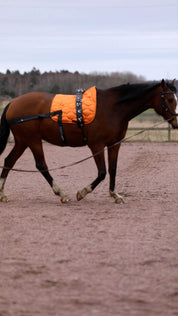 Complete set - Orange