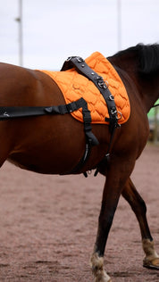 Complete set - Orange
