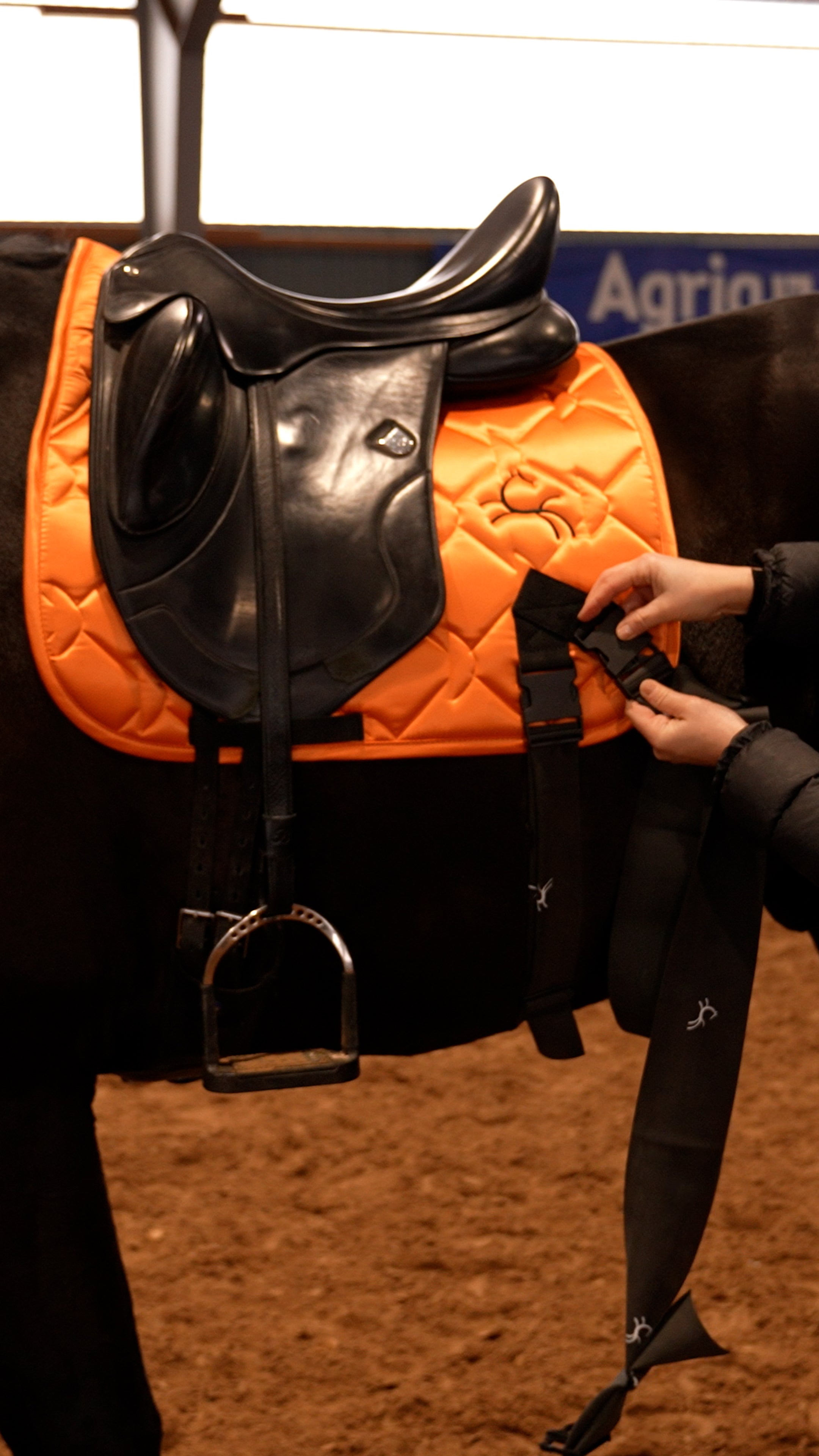 Complete set - Orange