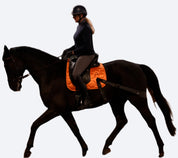 Complete set - Orange