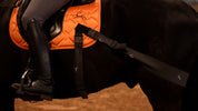 Complete set - Orange