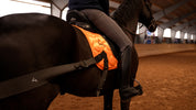 Complete set - Orange